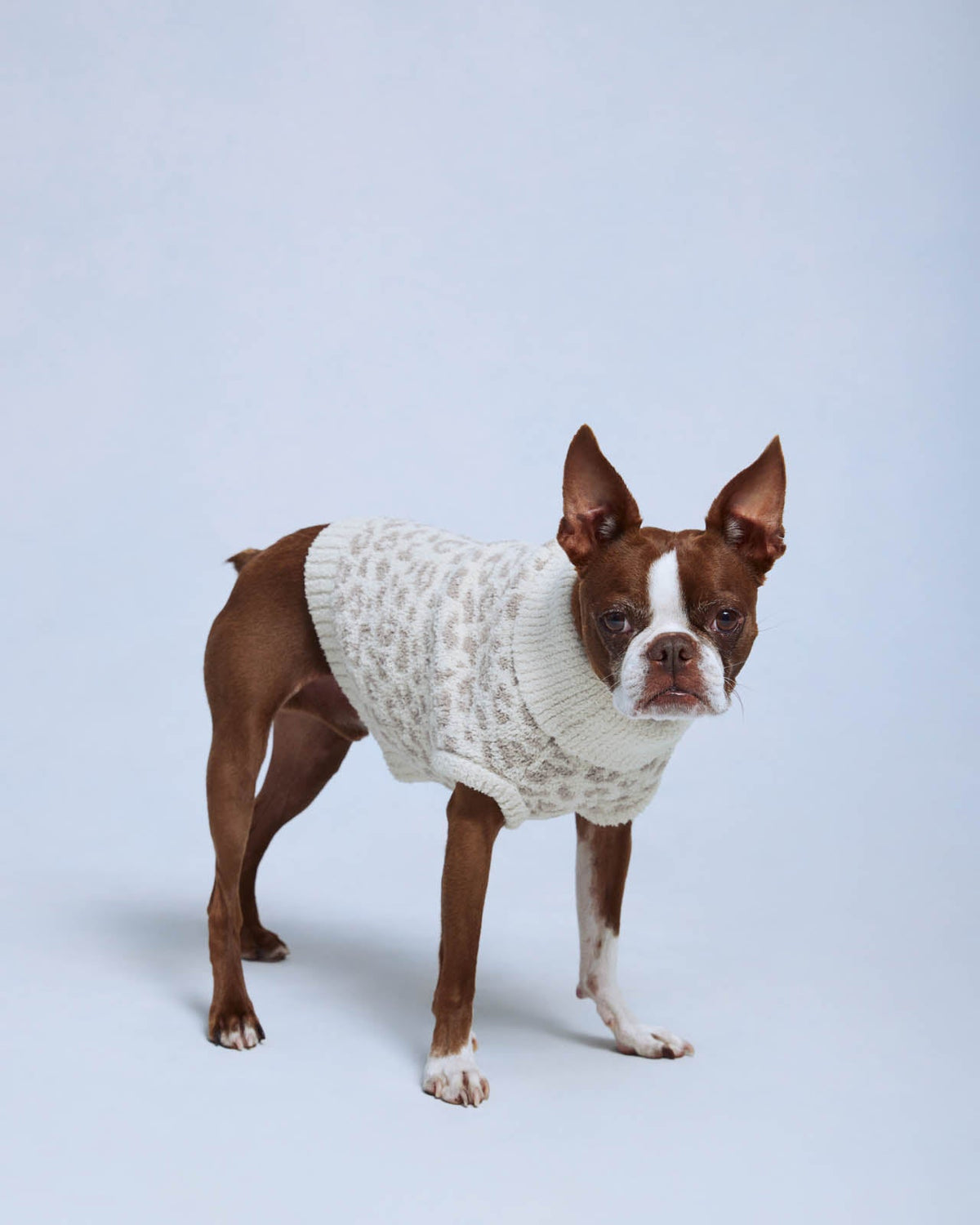 Leopard Fuzzy Pet Sweater - Leopard