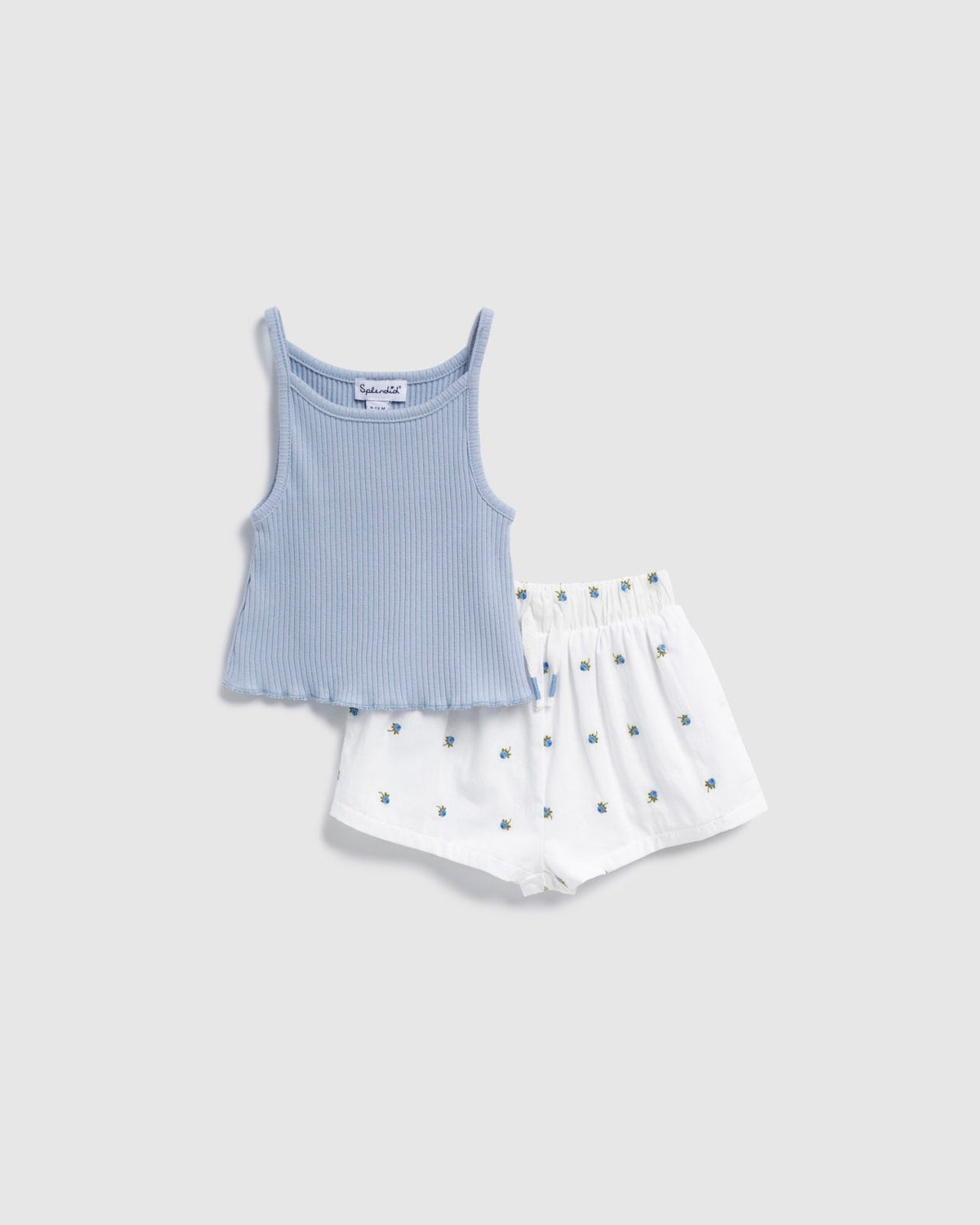 Infant Girl Fresh Floral Skirt Set - Chicory