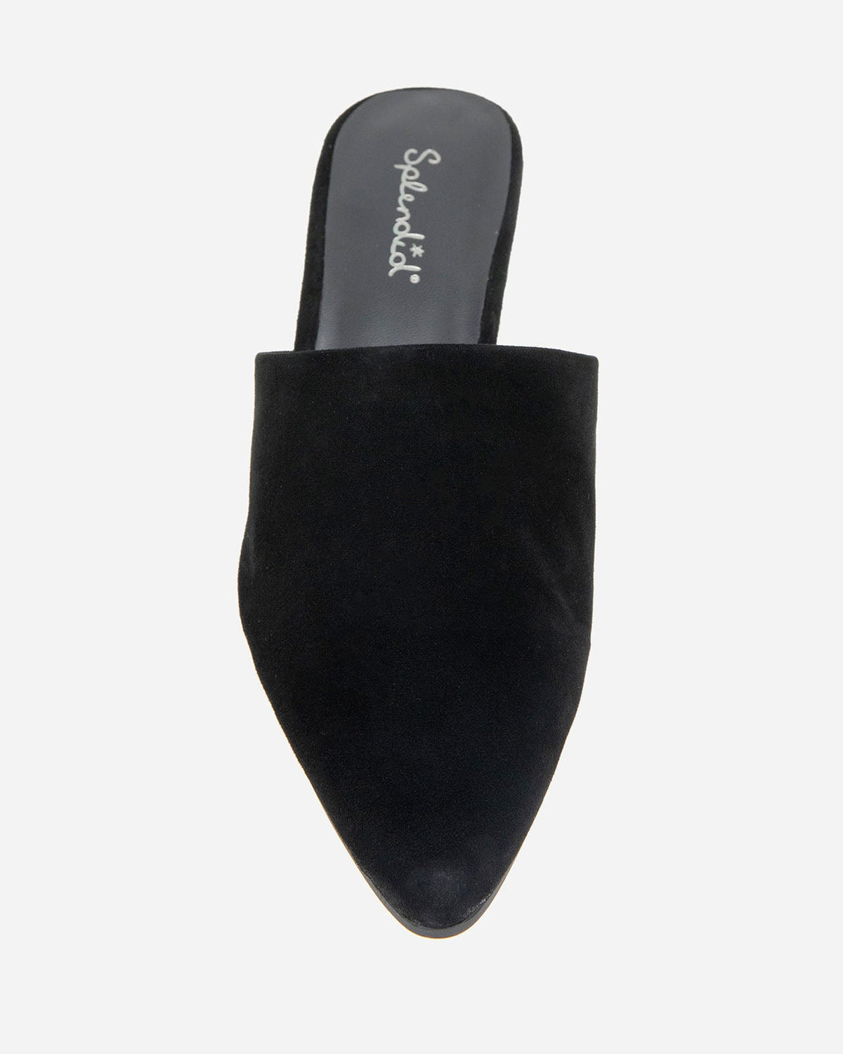 Lorelei Suede Mule Slide in Black - Black