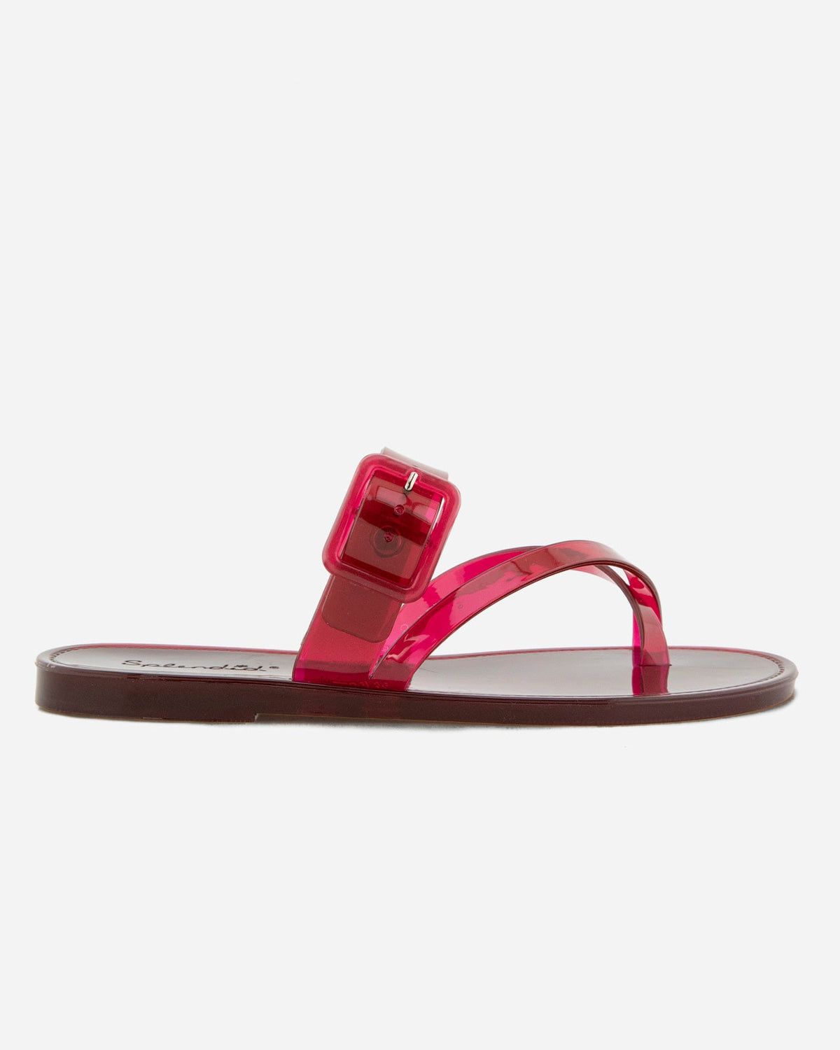 Sutton Jelly Sandal in Dragonfly - Dragonfly