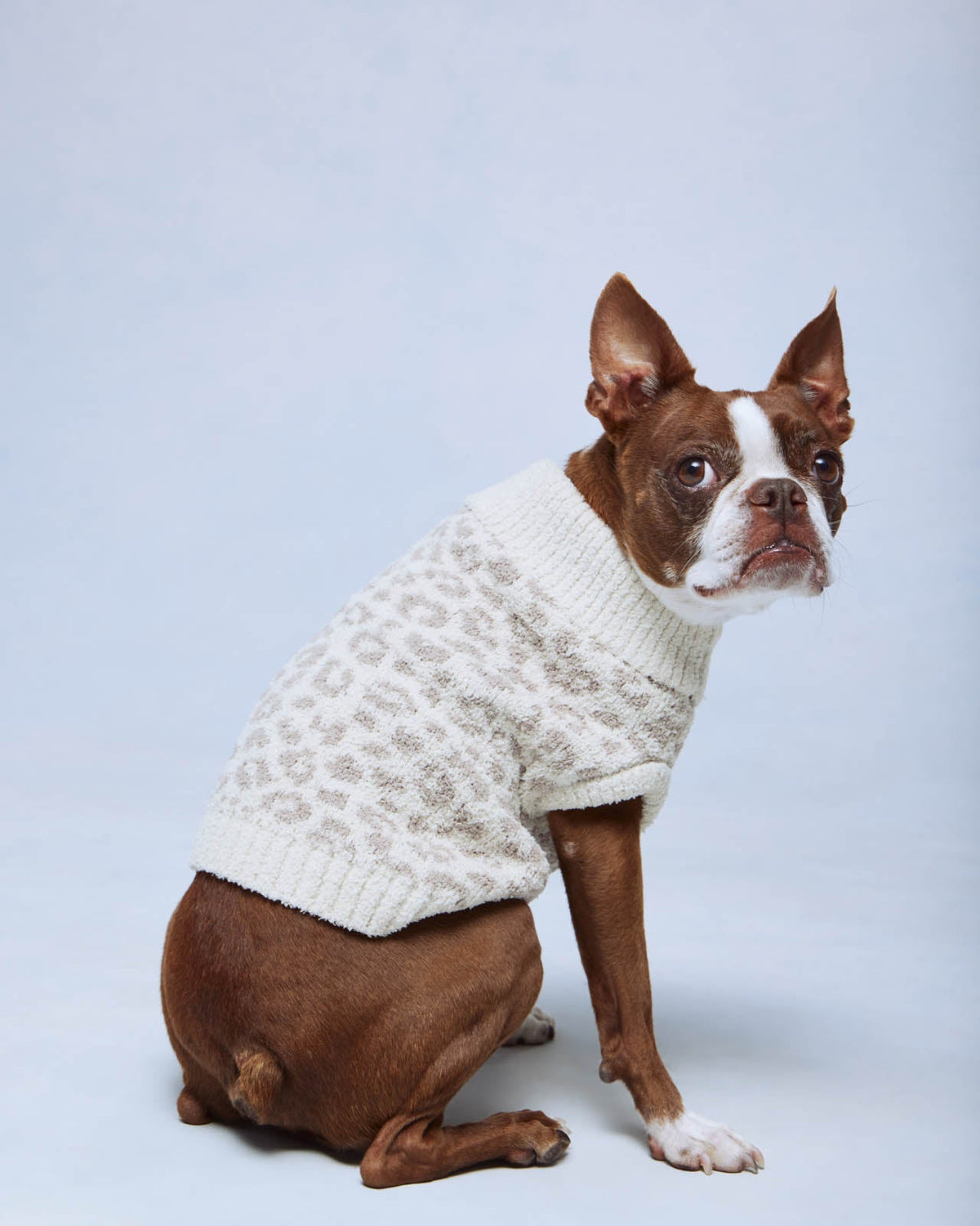 Leopard Fuzzy Pet Sweater - Leopard