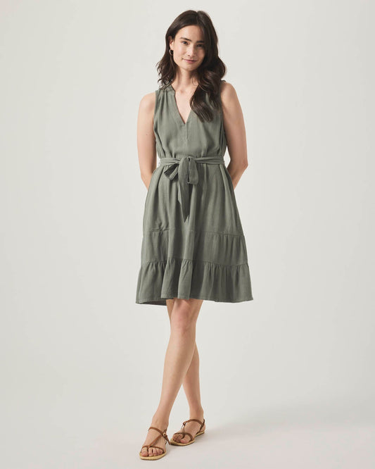 Hudson Flounce Dress