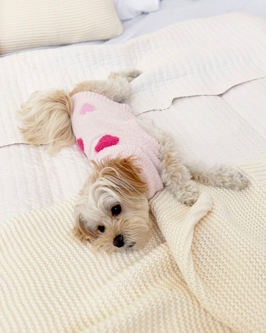 Pink Multi-Heart Fuzzy Pet Sweater - Pink Multi Hearts